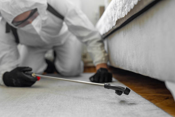 Professional Bed Bug Control technician working in Royal Palm Estates, FL