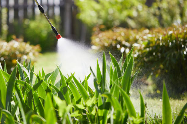 24/7 Emergency Bed Bug Control experts in Royal Palm Estates, FL