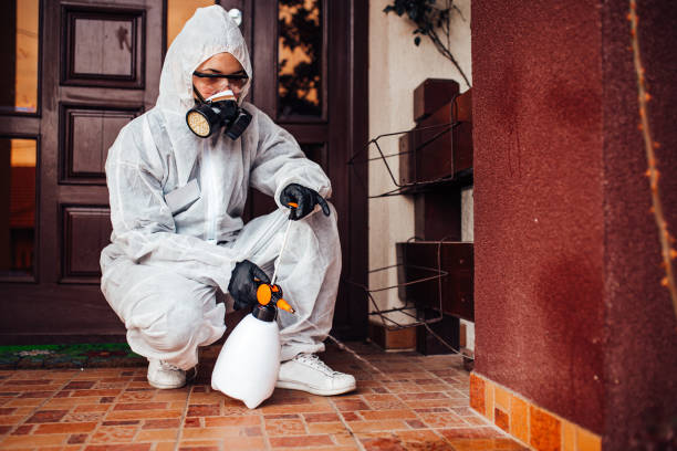 Reliable Bed Bug Control contractor in Royal Palm Estates, FL by Nex Pest Control