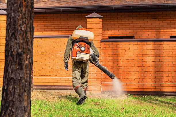 Trusted Cockroach Control service in Royal Palm Estates, FL - Nex Pest Control